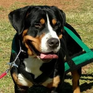 Meet your Posher, Mike